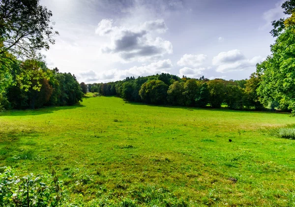 Leere grüne Wiese in hügeliger, schöner Landschaft — Stockfoto