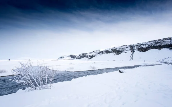 Zasněžené krajiny, řeky a rostliny — Stock fotografie