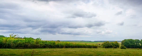 Çalılar ile yeşil alanın panoramik çekim — Stok fotoğraf