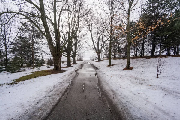 Wald mit Pfad im Winter — Stockfoto