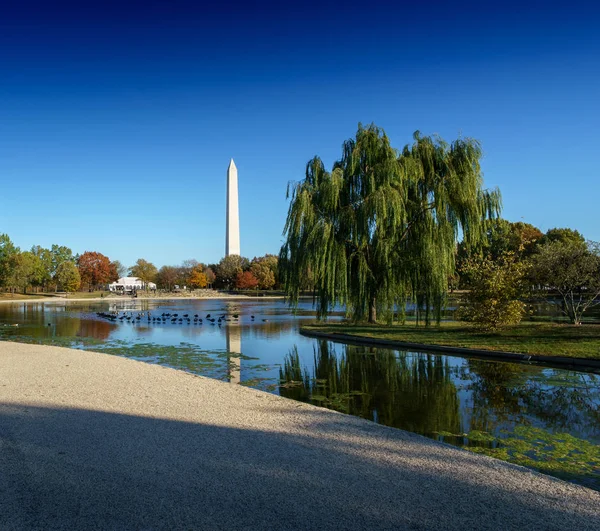 Obelisco de Washington e Piscina Refletora — Fotografia de Stock