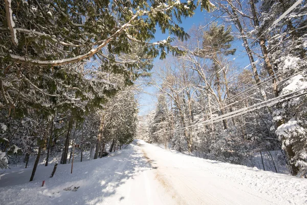 Väg genom snötäckta skogen — Stockfoto