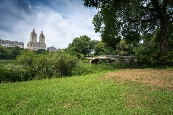 Edificios en la distancia y la hierba en primer plano, Central Park — Foto de Stock