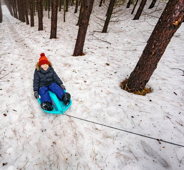 Ragazzo sulla slitta di essere tirato nel bosco in inverno — Foto Stock