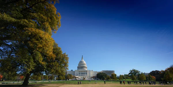 The Capitol building dome in the distance