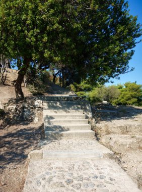 Taş adımları ve ağaçlar Garden, Atina, Yunanistan