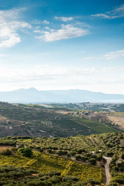 Vista Panorámica Del Campo Agrícola Montaña Heraklion Grecia — Foto de Stock
