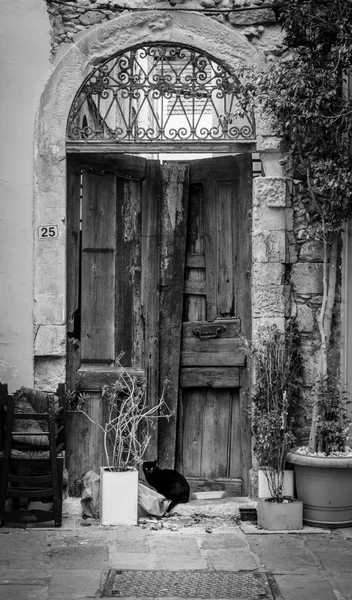 Gato Relaxante Contra Porta Entrada Danificada — Fotografia de Stock