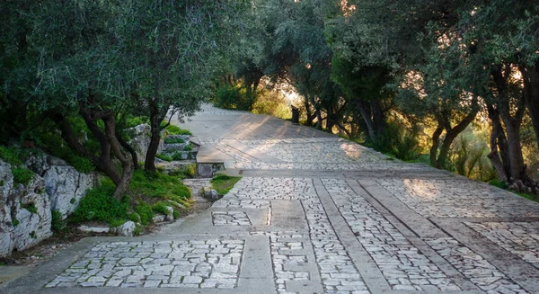 View Pedestrian Walkway Amidst Trees Athens Greece — Stock Photo, Image