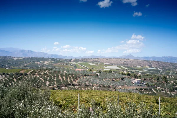 Vista Panorámica Del Campo Agrícola Montaña Contra Cielo Nublado Heraklion —  Fotos de Stock