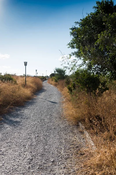 View Narrow Road Amidst Grass Field Heraklion Greece — Stock Photo, Image