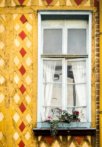 Datailní Pohled Žluté Zdi Bretaň Francie Evropa — Stock fotografie