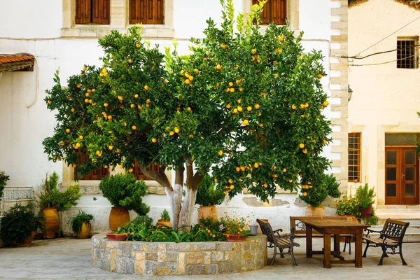 橙色树和餐桌在庭院 — 图库照片