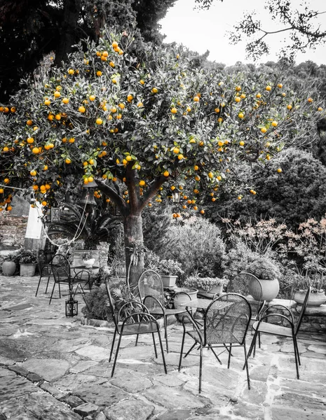 Contrast Image Oranges Hanging Amidst Restaurant Greece — Stock Photo, Image