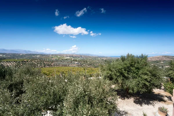 Vista Panorámica Del Campo Agrícola Contra Cielo Nublado Heraklion Grecia — Foto de Stock