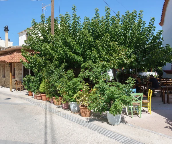 Potted plants and outdoor cafe, Crete, Greece