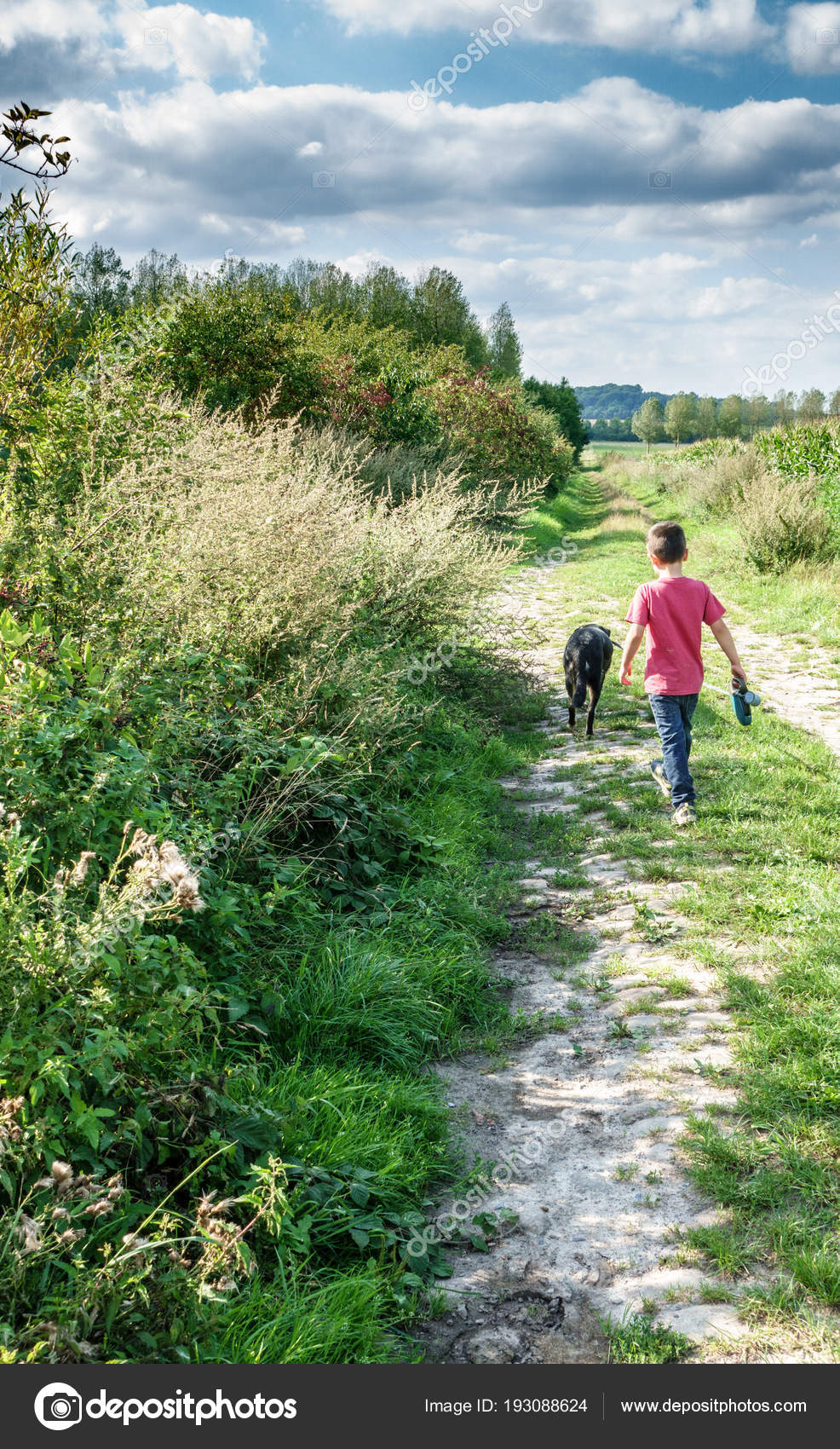 Rear View Boy Walking Pet Dog Path Grass Field Stock Photo C Bruno135