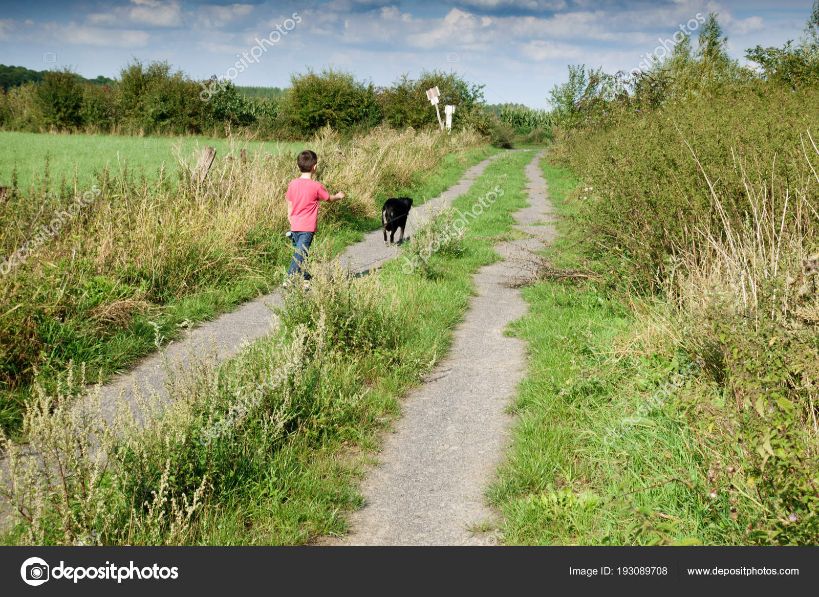 Rear View Boy Walking Pet Dog Path Grass Field Stock Photo Image By C Bruno135