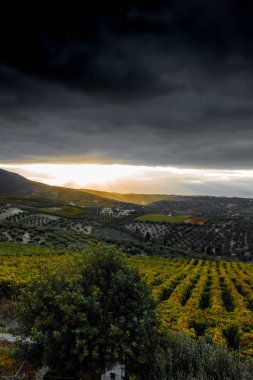 Doğal manzara sırasında günbatımı, Archanes, Crete, Yunanistan