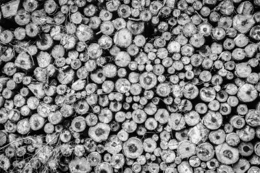 Tam kare çekim bolca ahşap günlükleri