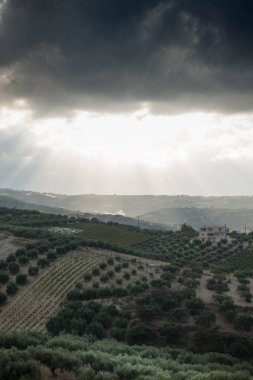 Doğal görünümü tarım alanının, Crete, Yunanistan