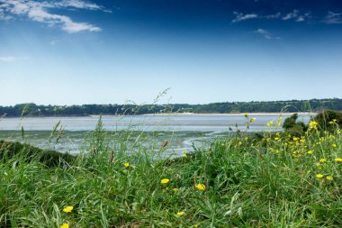 Çiçekler, Brittany, Fransa, Avrupa ortasında Gölü doğal görünümü