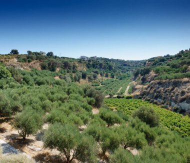 Bush gökyüzü, Girit, Yunanistan ile tarım peyzaj