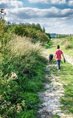Arkadan görünüş ile evde beslenen hayvan köpek çim sahası üzerinden yol üzerinde yürüyen çocuk