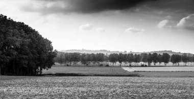 Kırsal manzara ve ağaçlar Tournai, Belçika