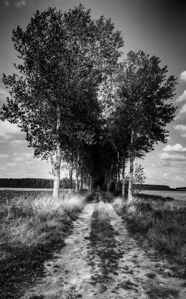 トゥルネー ベルギーの農村風景 — ストック写真
