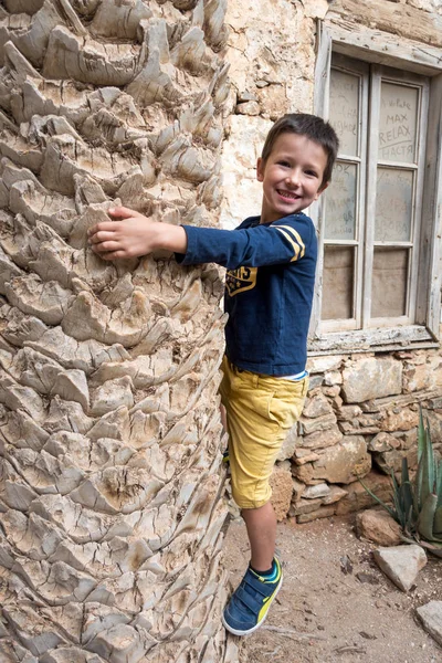 Portrait Boy Hugging Palm Tree Trunk — Stock Photo, Image