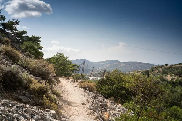 Feldweg Und Feld Mit Berg Hintergrund Beton Griechenland — Stockfoto