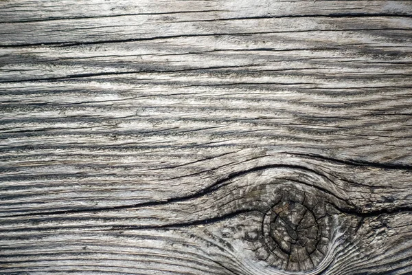 Wooden Boardwalk Plank Close Shot — Stock Photo, Image