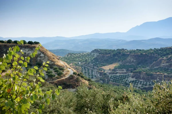 Vista Panorámica Del Campo Agrícola Montaña Creta Grecia — Foto de Stock