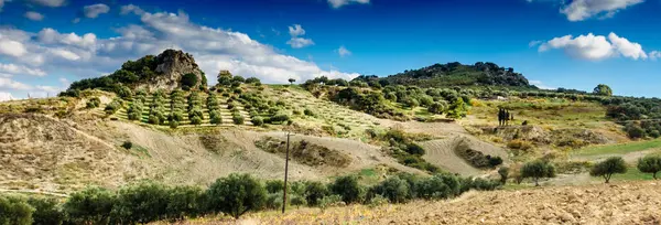 Χαμηλή Γωνία Προβολής Των Καλλιεργούμενων Γεωργικών Αγροτική Περιοχή Ελλάδα — Φωτογραφία Αρχείου