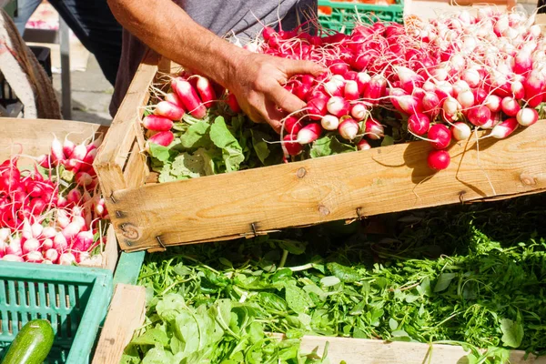 Frische Radieschen Und Blätter Gemüse Zum Verkauf Marktstand — Stockfoto