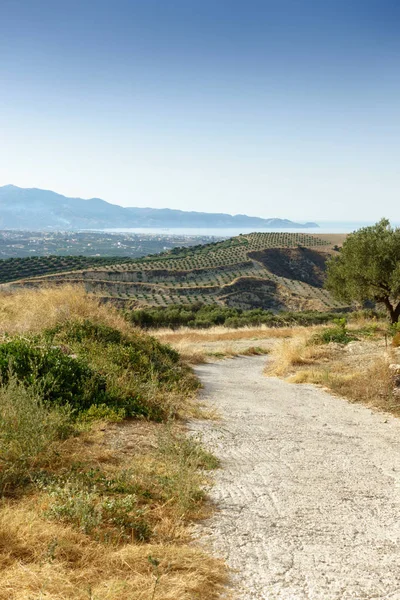 Landwirtschaftliche Feld Und Berg Beton Griechenland — Stockfoto