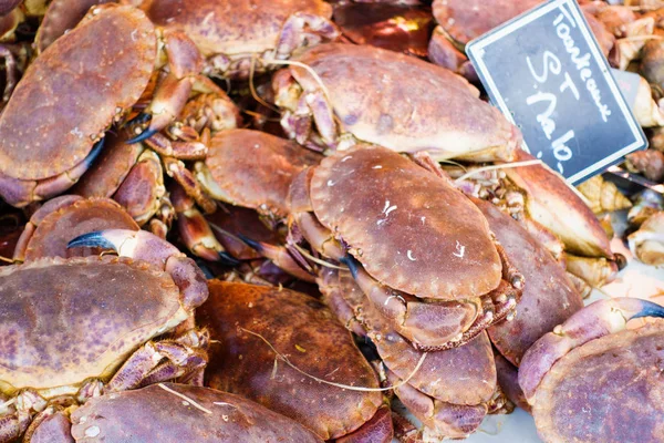 Cangrejos Irroratus Frescos Para Venta Mercado Pescado —  Fotos de Stock