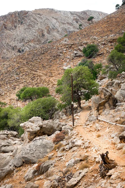 Árbol Acantilado Rocoso Creta Grecia — Foto de Stock