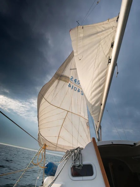 Segelbåt Cruising Havet Toronto Kanada — Stockfoto