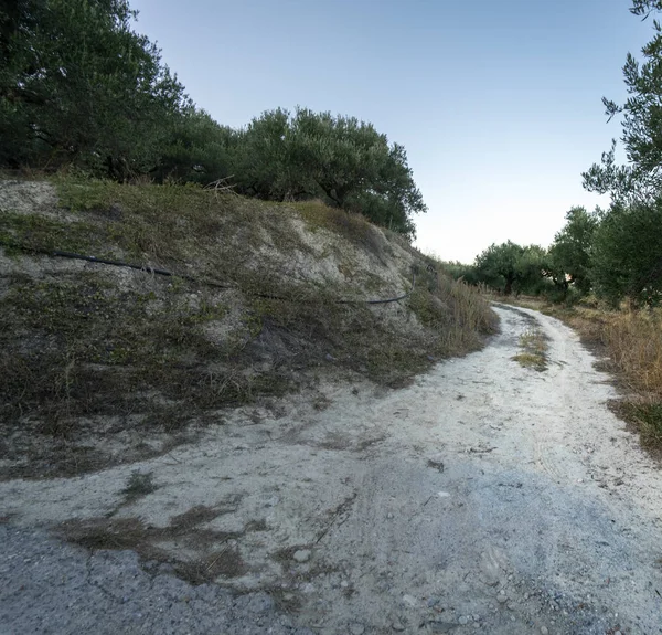 Camino Tierra Través Del Bosque Contra Cielo Creta Grecia — Foto de Stock