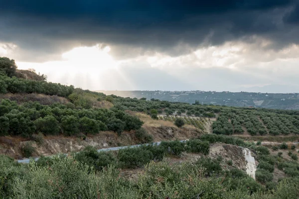 Doğal Görünümü Tarım Alanının Crete Yunanistan — Stok fotoğraf