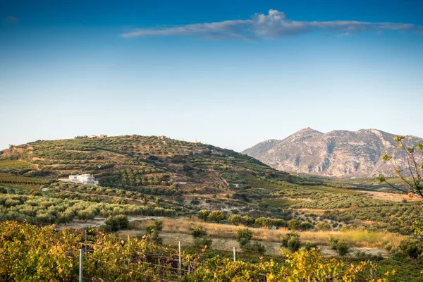 Vista Panorámica Del Camino Sinuoso Que Conduce Montaña Creta Grecia —  Fotos de Stock