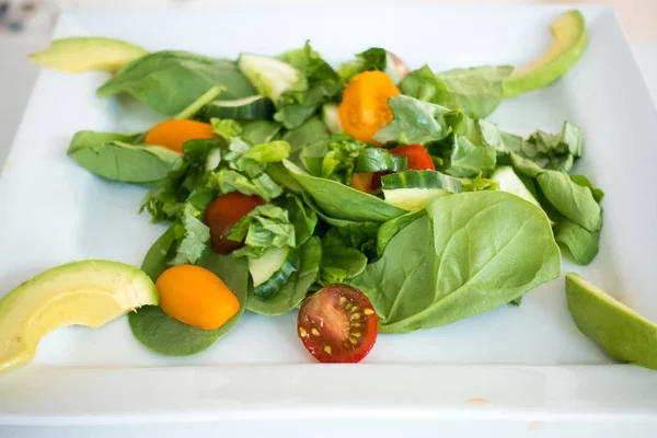 Close Fresh Avocado Salad Plate — Stock Photo, Image