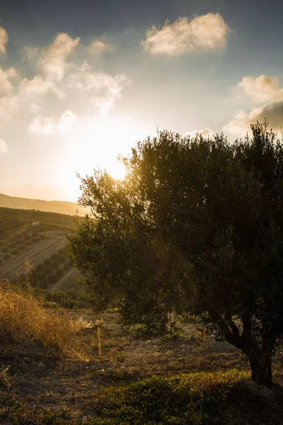 Γραφικό Τοπίο Κατά Ηλιοβασίλεμα Κρήτη Ελλάδα — Φωτογραφία Αρχείου