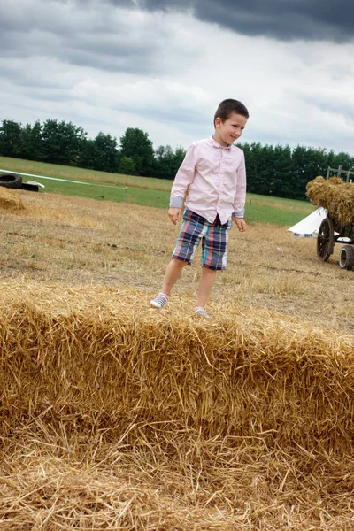 干し草の山に立っている少年の低角度のビュー — ストック写真