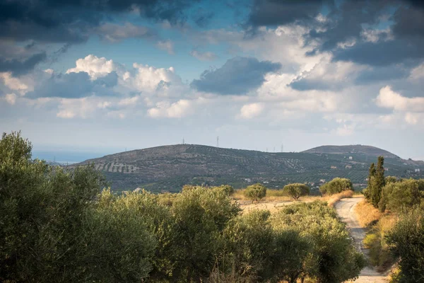 Malebný Pohled Rostliny Horské Krajiny Proti Obloze Kréta Řecko — Stock fotografie
