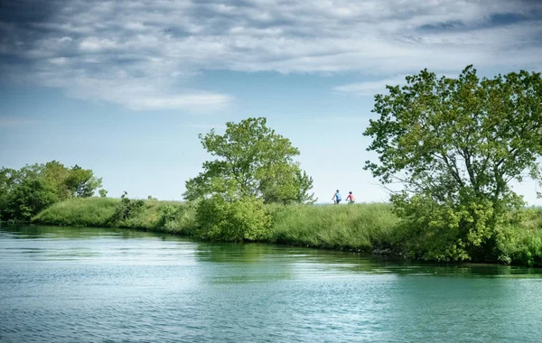Vista Panorámica Del Río Las Plantas Contra Cielo Nublado Toronto — Foto de Stock