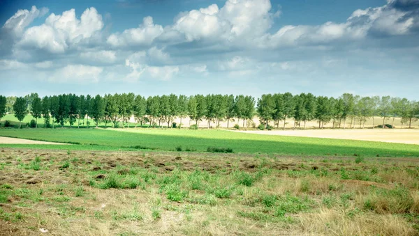 Vista Panorâmica Campo Agrícola Das Árvores Contra Céu Nublado Tournai — Fotografia de Stock
