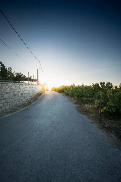 Leere Straße Und Feld Bei Sonnenuntergang Beton Griechenland — Stockfoto